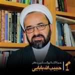 دکتر حبیب الله بابایی